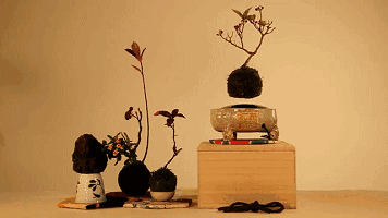 微信圖片_20180926100447.gif 微信圖片_20180926100447.gif
