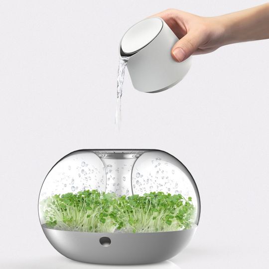 蔬菜種植機設計
