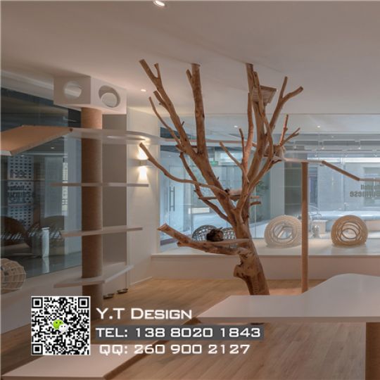 成都寵物店設計-寵物醫院設計|成都寵物中心裝修設計