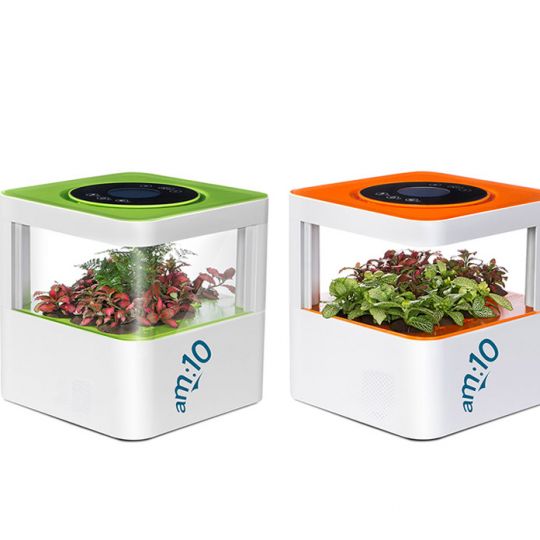 新型植物空氣凈化器